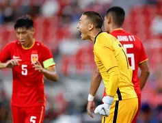 施瓦辛格敢死队3