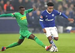 德甲预测沙尔克04对勒沃库森