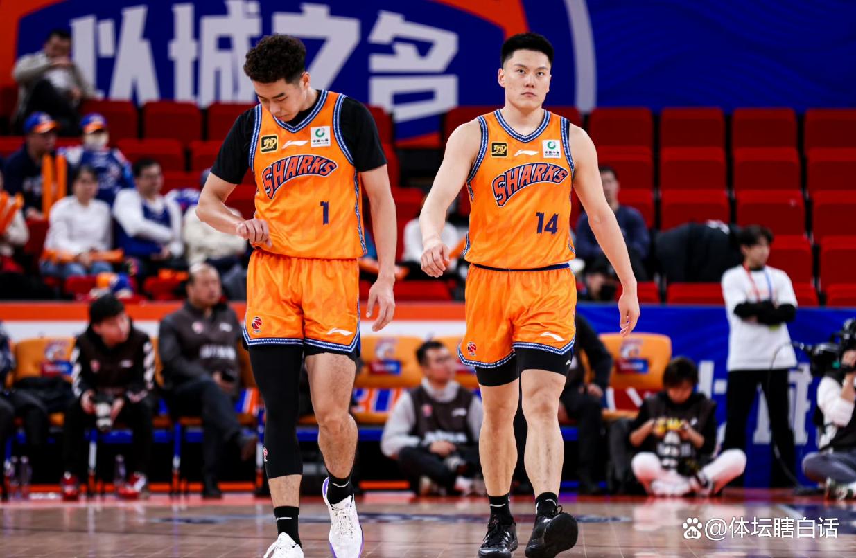 上海男篮的最新动态